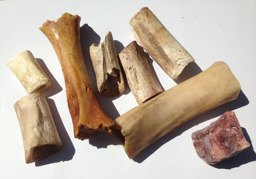 assortment of bones