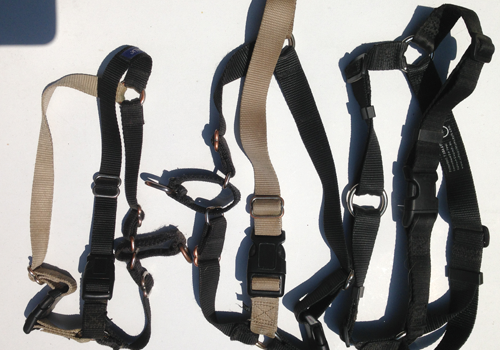 Selection of harnesses for larger dogs