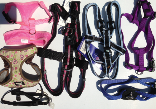 Selection of harnesses for smaller dogs