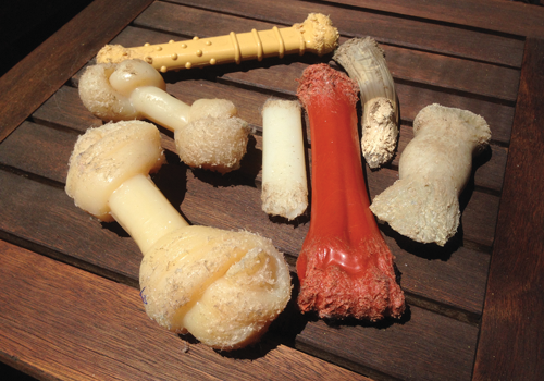 Assortment of chewed Nylabone toys